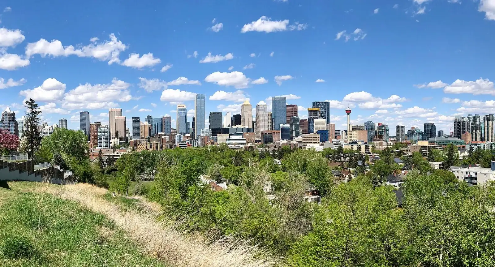 Downtown Calgary skyline above green parkland