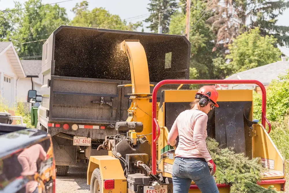 Crew member feeding brush into a chipper behind the Silver Fern truck