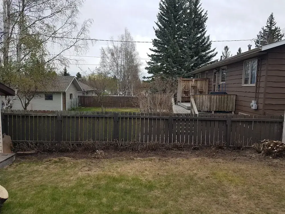 The same back garden after the overgrown hedging was cut back