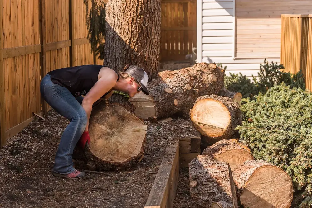Crew member moving heavy log rounds out of a back garden